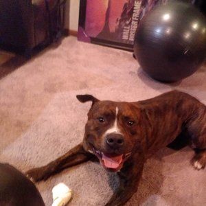 Meet your Posher, Kenyatta